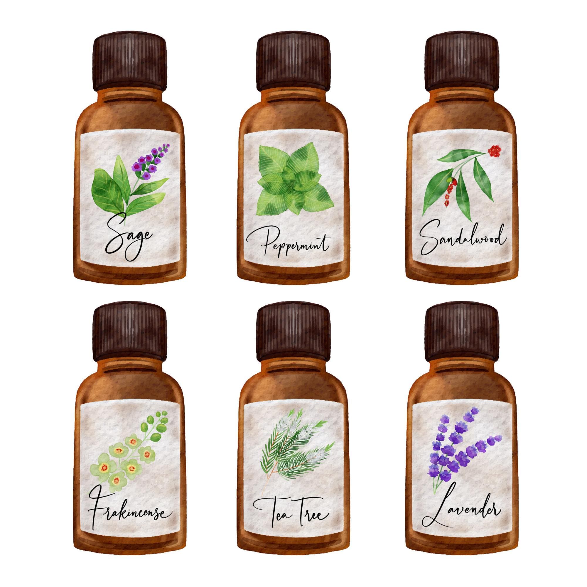 A collection of essential oil bottles with herbs used for natural ear care remedies